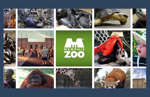 Memphis zoo